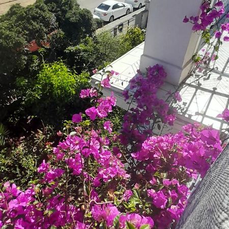Blanca Rosa Valparaiso B&B Dış mekan fotoğraf